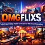 omgflixs: Exploring a Rising Name in the World of Online Streaming 3 omgflixs